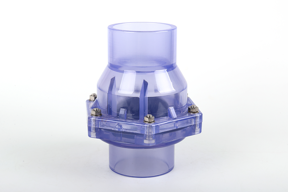 连云透明翻板式止回阀